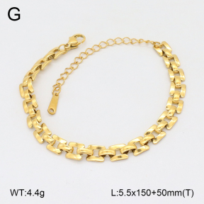 2B2004529ablb-395  Stainless Steel Bracelet