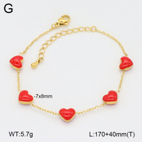 2B3004067bhbl-669  Stainless Steel Bracelet