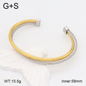 2BA202208vbll-395  Stainless Steel Bangle