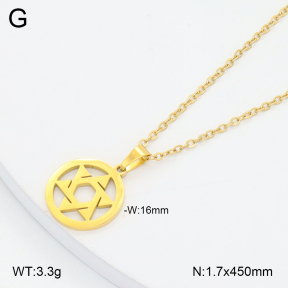 2N2006298avja-749  Stainless Steel Necklace