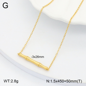 2N2006303avja-749  Stainless Steel Necklace