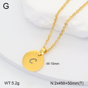 2N2006454vail-452  Stainless Steel Necklace
