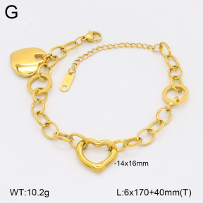 2B2004536vhhl-746  Stainless Steel Bracelet