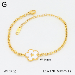 2B3004088vbnl-746  Stainless Steel Bracelet