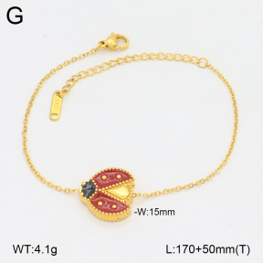 2B3004090vbnl-746  Stainless Steel Bracelet