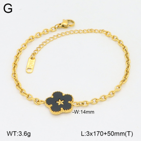 2B4005058vbnl-746  Stainless Steel Bracelet