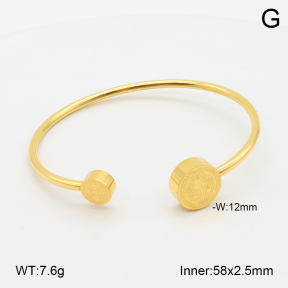 2BA202222bbov-355  Stainless Steel Bangle 2BA202222bbov-355  Stainless Steel Bangle