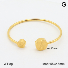2BA202223bbov-355  Stainless Steel Bangle 2BA202223bbov-355  Stainless Steel Bangle