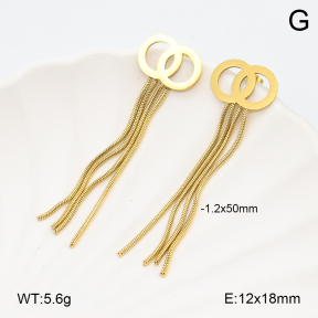 2E2006228baka-731  Stainless Steel Earrings