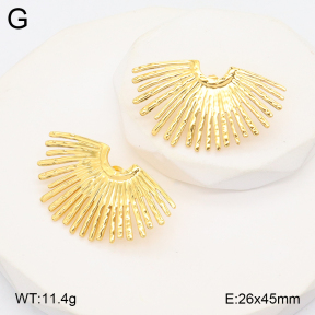 2E2006230avja-312  Stainless Steel Earrings