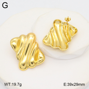 2E2006231aajl-312  Stainless Steel Earrings