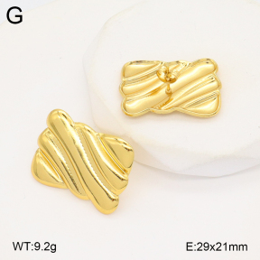 2E2006232avja-312  Stainless Steel Earrings