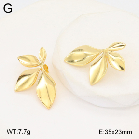 2E2006233avja-312  Stainless Steel Earrings