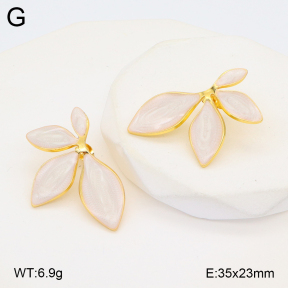 2E3003660baka-312  Stainless Steel Earrings