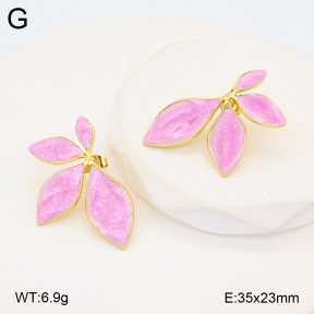 2E3003662baka-312  Stainless Steel Earrings