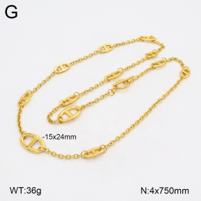 2N2006475aivb-746  Stainless Steel Necklace