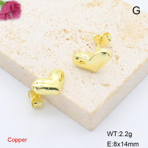 F6E200791avja-L017  Fashion Copper Earrings