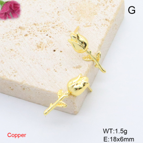 F6E200797avja-L017  Fashion Copper Earrings