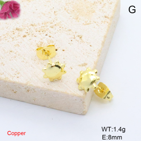 F6E200798avja-L017  Fashion Copper Earrings