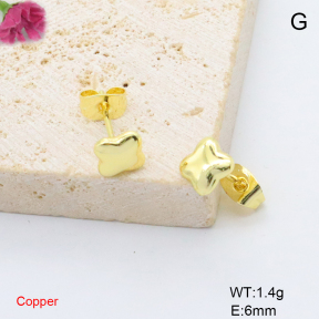 F6E200799avja-L017  Fashion Copper Earrings