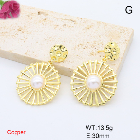 F6E302056vbnb-L017  Fashion Copper Earrings