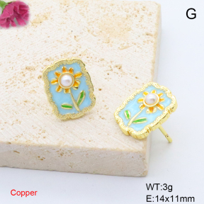 F6E302058ablb-L017  Fashion Copper Earrings