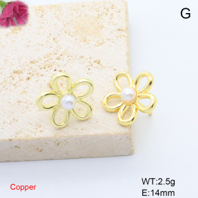 F6E302066baka-L017  Fashion Copper Earrings