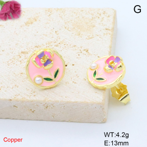 F6E302070ablb-L017  Fashion Copper Earrings