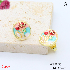 F6E302073ablb-L017  Fashion Copper Earrings