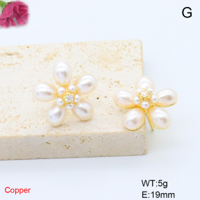 F6E302083ablb-L017  Fashion Copper Earrings