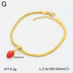 2B3004115bbml-355  Stainless Steel Bracelet