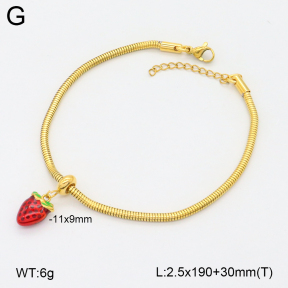 2B3004117bbml-355  Stainless Steel Bracelet