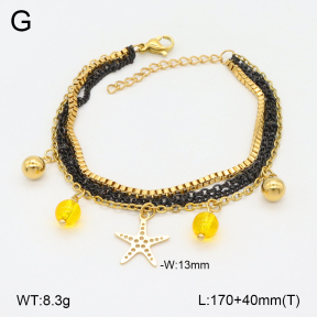 2B4005066abol-350  Stainless Steel Bracelet