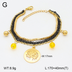 2B4005069abol-350  Stainless Steel Bracelet