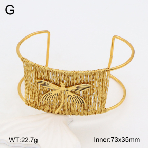 2BA202227vhml-434  Stainless Steel Bangle