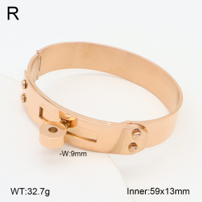 2BA202228ahlv-749  Stainless Steel Bangle