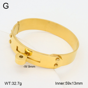 2BA202229vhmv-749  Stainless Steel Bangle