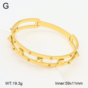 2BA202232ahlv-749  Stainless Steel Bangle