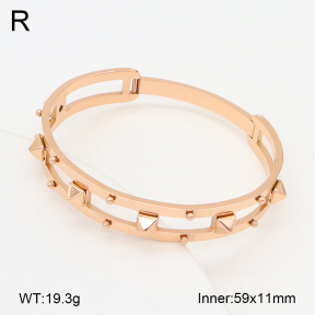 2BA202233ahlv-749  Stainless Steel Bangle