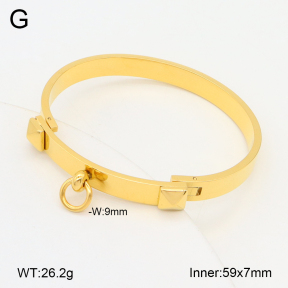 2BA202235vhha-749  Stainless Steel Bangle