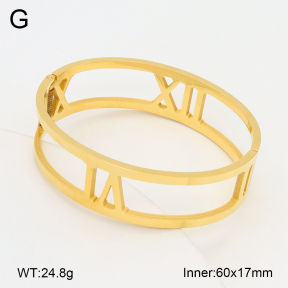 2BA202238ahjb-749  Stainless Steel Bangle