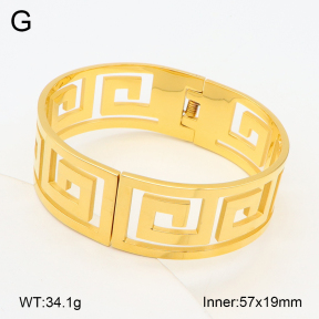 2BA202241bhva-749  Stainless Steel Bangle