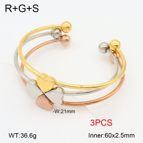 2BA202244bhva-749  Stainless Steel Bangle