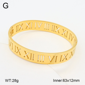 2BA202245bhva-749  Stainless Steel Bangle