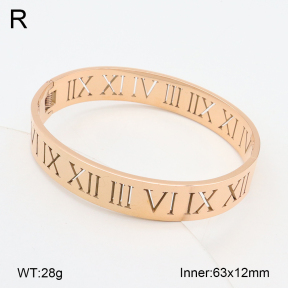 2BA202246bhva-749  Stainless Steel Bangle