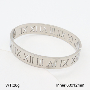 2BA202247vbpb-749  Stainless Steel Bangle