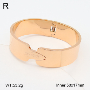 2BA202248bhia-749  Stainless Steel Bangle