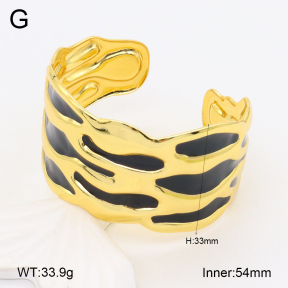 2BA300498bvpl-434  Stainless Steel Bangle