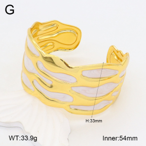 2BA300500bvpl-434  Stainless Steel Bangle