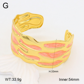 2BA300501bvpl-434  Stainless Steel Bangle